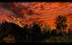 The Witcher 3: 3200p resized @ 1600p (30)