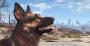 Fallout 4 (28)