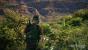 Ghost Recon: Wildlands - Grafikkarten-Benchmarks aus der Open Beta (15)