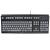 Buckling-Spring-Tastaturen: Neuaufgelegte IBM Model M (3)