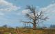 The Witcher 3 maxed und downsampled 104