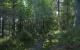 Kingdom Come: Deliverance - Screenshots aus der Tech Alpha 0.4 von Neogaf-Mitglied Denton (1)