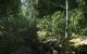 Kingdom Come: Deliverance - Screenshots aus der Tech Alpha 0.4 von Neogaf-Mitglied Denton (2)