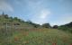 Kingdom Come: Deliverance - Screenshots aus der Tech Alpha 0.4 von Neogaf-Mitglied Denton (3)