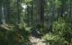 Kingdom Come: Deliverance - Screenshots aus der Tech Alpha 0.4 von Neogaf-Mitglied Denton (5)
