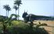 Ark: Survival Evolved - 85 "maxed out" Screenshots der noch aktuellen Version (31)