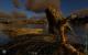 Ark: Survival Evolved - 85 "maxed out" Screenshots der noch aktuellen Version (44)
