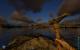 Ark: Survival Evolved - 85 "maxed out" Screenshots der noch aktuellen Version (45)