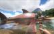 Ark: Survival Evolved - 85 "maxed out" Screenshots der noch aktuellen Version (78)