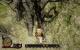 Risen 3 Enhanced Edition (3200p resized) (6)