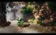 Risen 3 Enhanced Edition (3200p resized) (40)