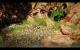 Risen 3 Enhanced Edition (3200p resized) (41)