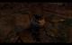 Risen 3 Enhanced Edition (3200p resized) (45)