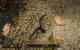 Risen 3 Enhanced Edition (3200p resized) (61)