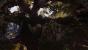 Fable Legends DirectX 12 Benchmark (4)