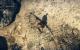 Mad Max (madly maxed & downsampled von 3.840 × 2.400 auf 2.560 × 1.440 Pixel) (14)