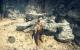 Mad Max (madly maxed & downsampled von 3.840 × 2.400 auf 2.560 × 1.440 Pixel) (15)