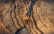 Mad Max (madly maxed & downsampled von 3.840 × 2.400 auf 2.560 × 1.440 Pixel) (33)