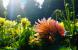 Update Oktober 2015: Foto von Deathy93