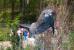 Update Oktober 2015: Foto von Haiduc