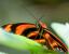 Update Oktober 2015: Foto von Haiduc