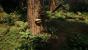 Ein DICE-Entwickler hat eine Waldlandschaft in der Unreal Engine 4 erstellt. (3)