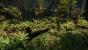 Ein DICE-Entwickler hat eine Waldlandschaft in der Unreal Engine 4 erstellt. (4)
