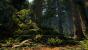 Ein DICE-Entwickler hat eine Waldlandschaft in der Unreal Engine 4 erstellt. (7)