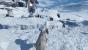 Star Wars Battlefront (Beta, Early Access) (3)