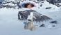 Star Wars Battlefront (Beta, Early Access) (4)
