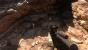 Star Wars Battlefront (Beta, Early Access) (82)