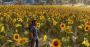 Just Cause 3 maxed & downsampled (4.096 × 2.160 resized @ 2.560 × 1.350) (15)