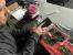 Wenn Retro-Carsten mal ganz tief Zuhause in seinen Schubladen kramt, fördert er antiquare 3D-Beschleuniger zu Tage, die er jetzt bei seinem Artikel zu 20 Jahre alter Hardware besonders gut gebrauchen kann. Natürlich hätten wir den Fokus und Zoom auf das Typenschild der Grafikkarte legen können, die uns Nordlicht Carsten da in der Hand hält. Dann wären Ihnen aber die drei anderen Renderboliden A.D., die Herr Doktor Spille aus seiner Sammlung mitgebracht hat, entgangen. Für alle, die es noch nicht erkannt haben oder die das Bild nicht vergrößern wollen: Carsten hält eine Hercules Terminator 3D in den Händen.