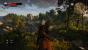 Mit The Witcher 3 haben Sie in niedrigsten Einstellungen ohne Kantenglättung aber wenig Freude, zudem ruckelt es gerade bei Kampfszenen stark