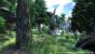 TES Oblivion Vegetation