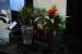 Parrot Pot auf der CES (1)