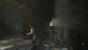Rise of the Tomb Raider (100)