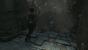 Rise of the Tomb Raider (101)