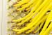 <strong>Telefon-Internet</strong>: AOL schaltet in den USA die Wählleitung ab