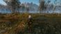 The Witcher 3 - Vergleich 01 - ohne Mods