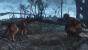 Fallout 4 - Modded, ENB+Reshade (18)