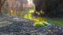 Update Februar 2016: Foto von totovo