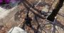 The Division Open Beta DCI-4K (4.096 × 2.160 @ 2.730 × 1.440 Pixel) (14)