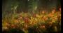Unravel maxed & downsampled (4.096 × 2.160 @ 2.730 × 1.440 Pixel) (5)
