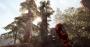 Far Cry: Primal im PCGH-Techniktest (24)