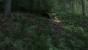 Kingdom Come: Deliverance Beta (14)