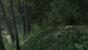 Kingdom Come: Deliverance Beta (15)