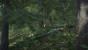 Kingdom Come: Deliverance Beta (16)