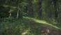 Kingdom Come: Deliverance Beta (17)