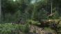 Kingdom Come: Deliverance Beta (20)